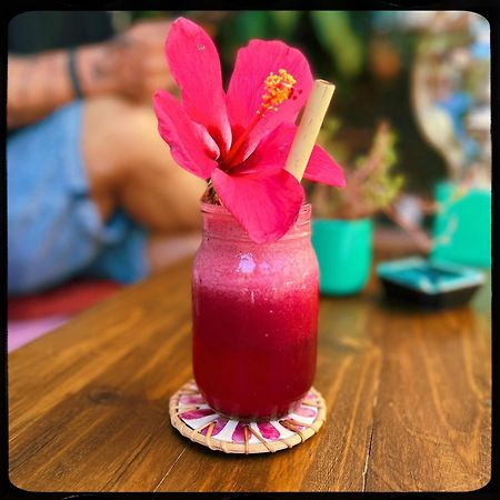 The Happy Bird B&B Хой Ан Екстериор снимка